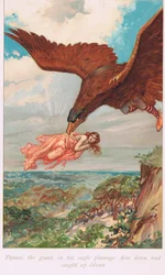 Thjassi, olbrzym w orlim upierzeniu, sfrunął i dogonił Idunę, ilustracja z „Księgi sag” Alice S. Hoffman, wydanej w 1926 r.